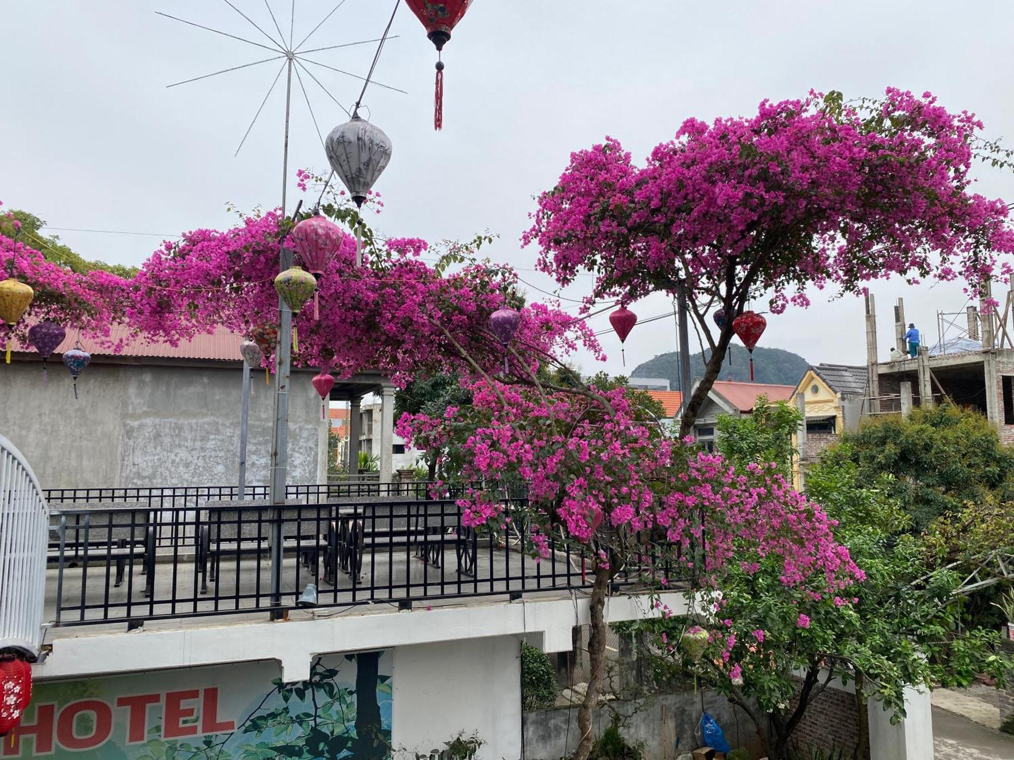 Elizabeth Hotel Tam Coc Ninh Binh Exterior foto